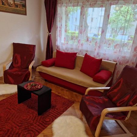 Petuniei Apartment Brassó Kültér fotó