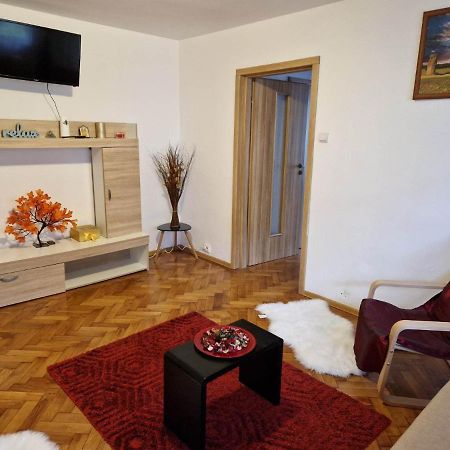 Petuniei Apartment Brassó Kültér fotó