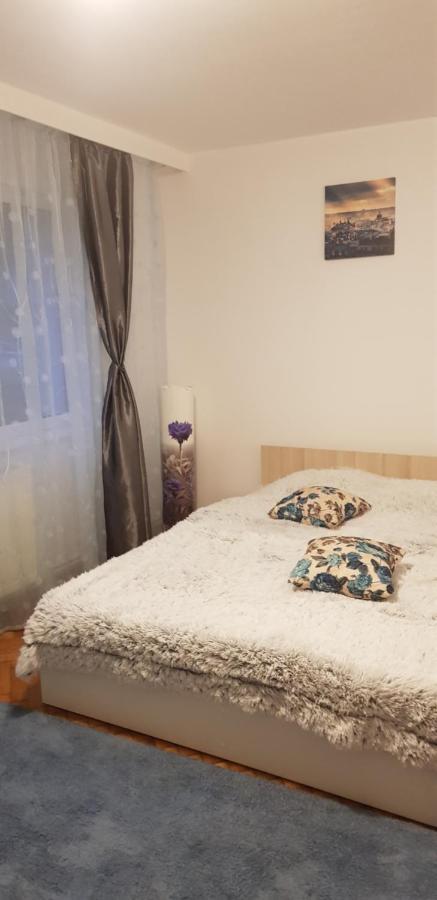 Petuniei Apartment Brassó Kültér fotó