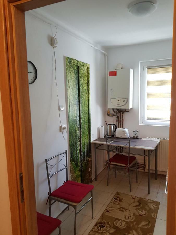 Petuniei Apartment Brassó Kültér fotó