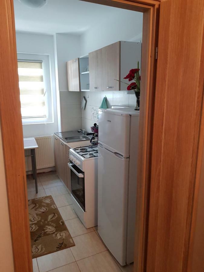 Petuniei Apartment Brassó Kültér fotó