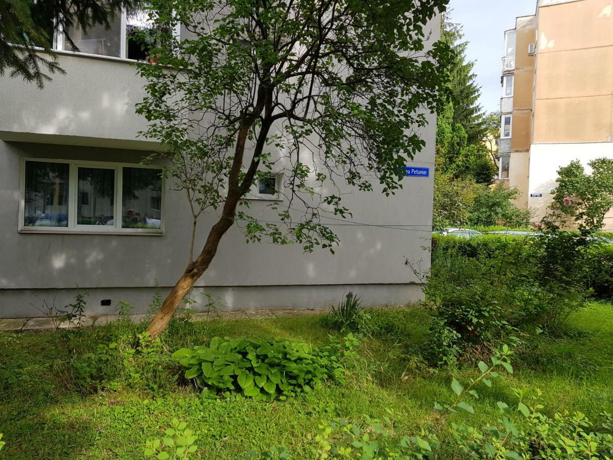 Petuniei Apartment Brassó Kültér fotó