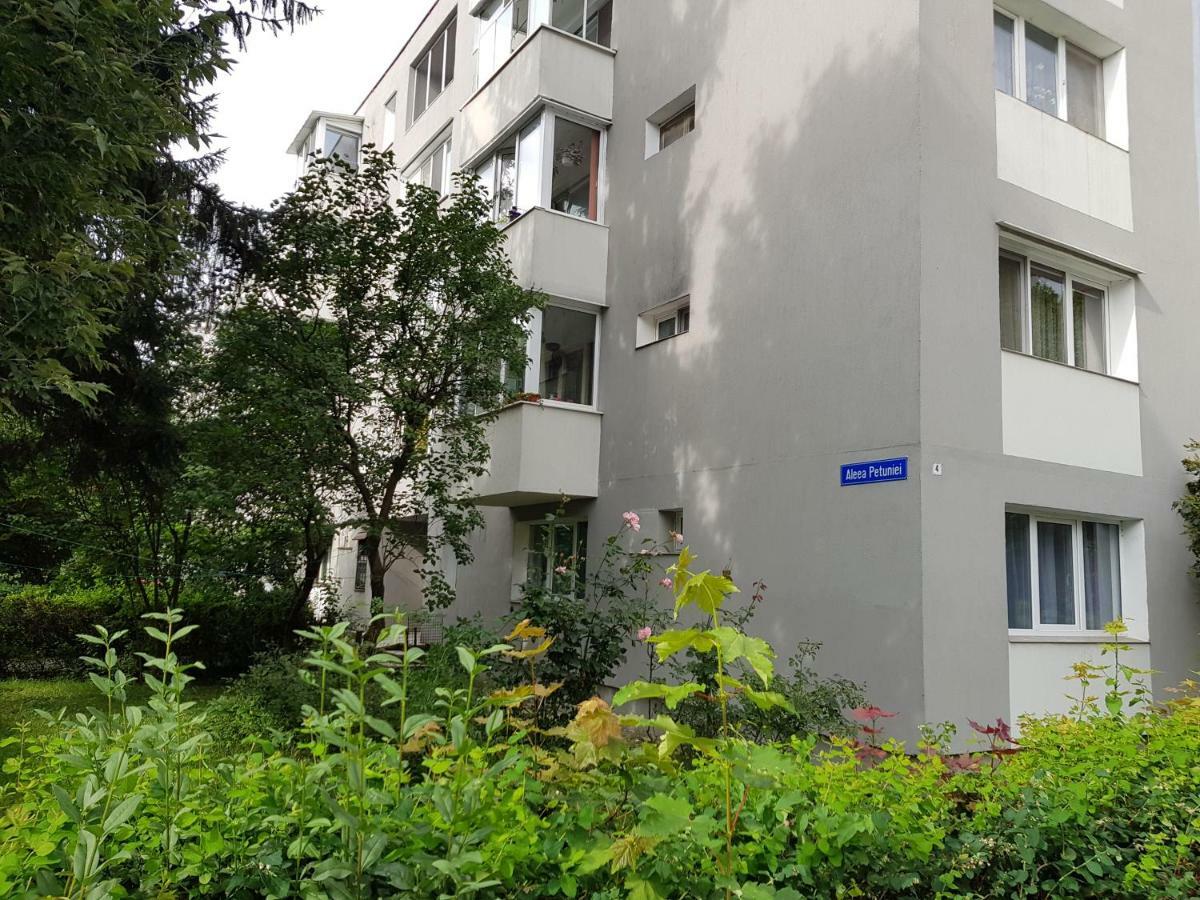 Petuniei Apartment Brassó Kültér fotó